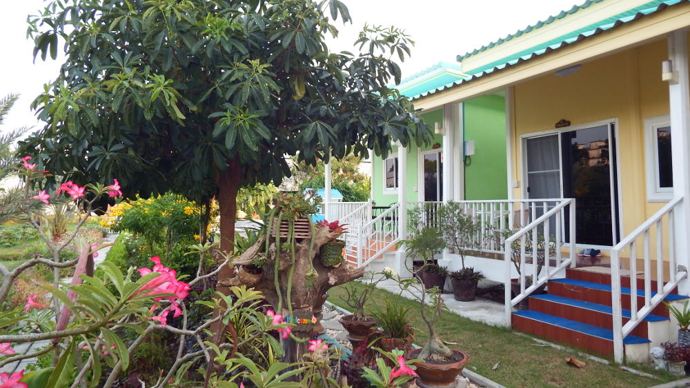 The cabins The cabins