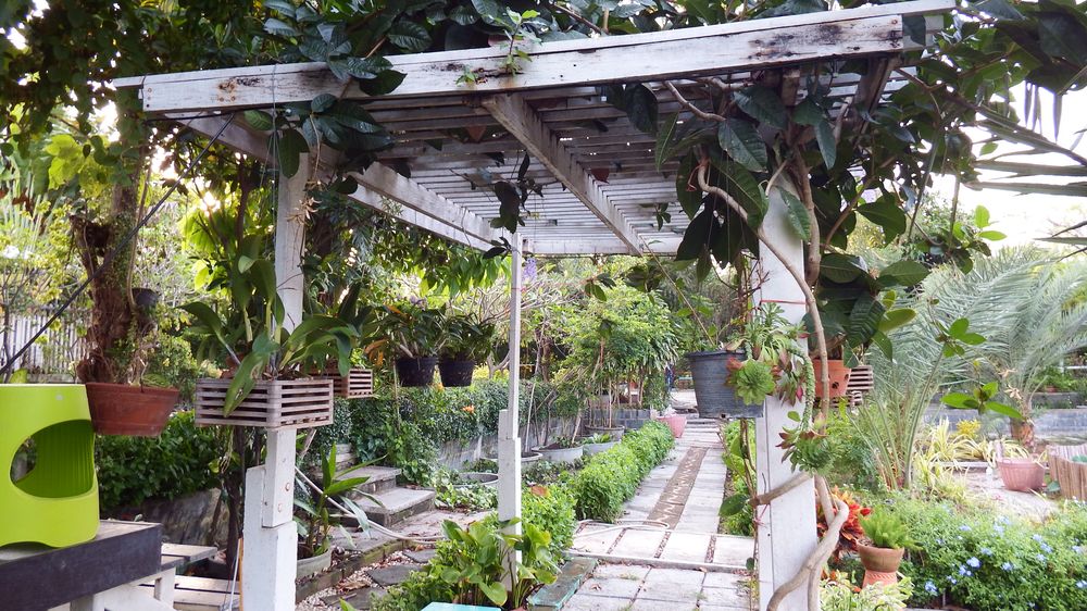 Hanging garden Hanging garden