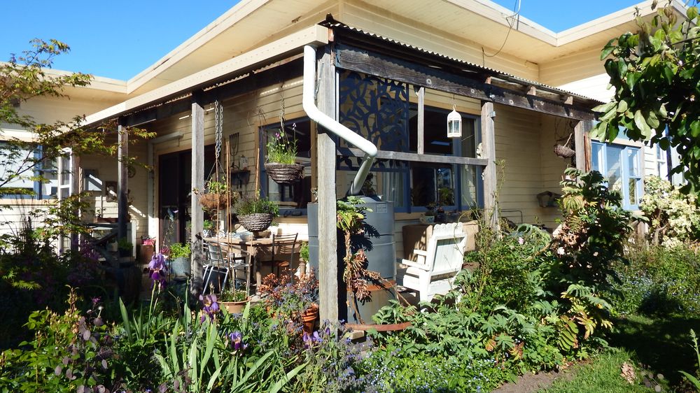 The garden a mix of native and Mediterranean influences The garden a mix of native and Mediterranean influences