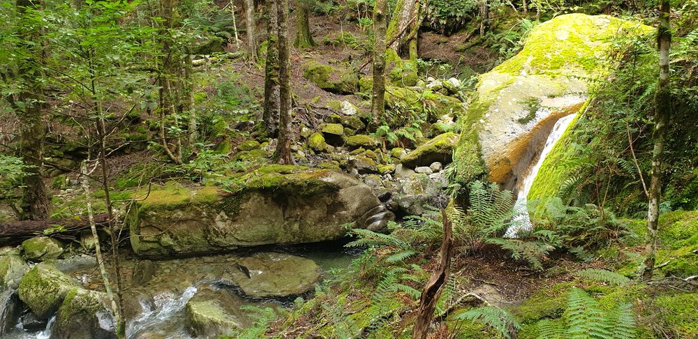 Lower Chasm Falls. Lower Chasm Falls.