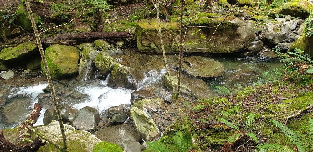 Lower Chasm Falls. Lower Chasm Falls.