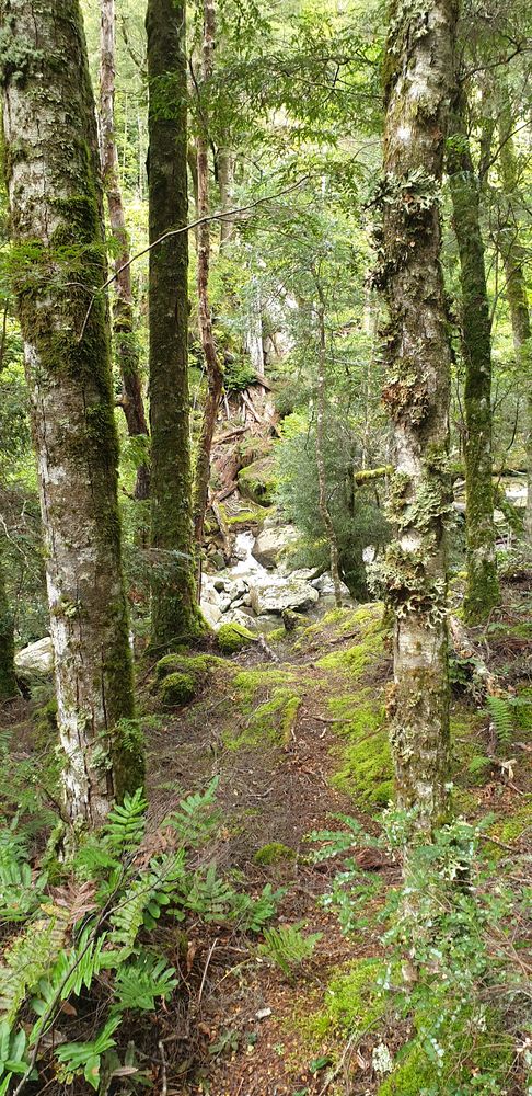 The track continues. The track continues.