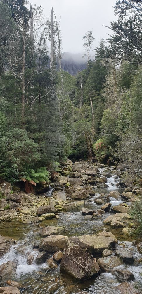 Mother Cummings Rivulet. Mother Cummings Rivulet.