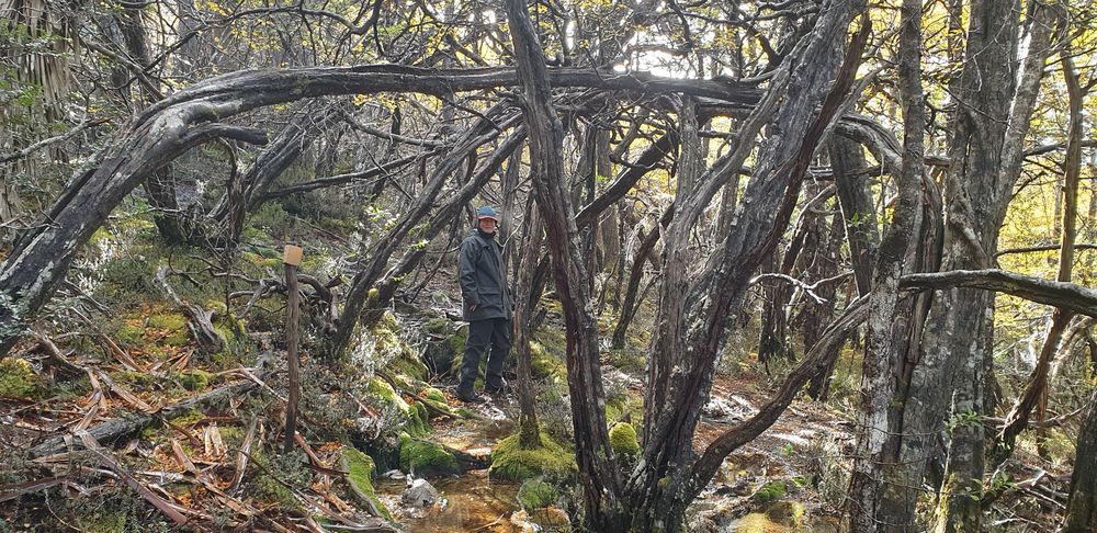 The start of the Hounslow Heath Track The start of the Hounslow Heath Track