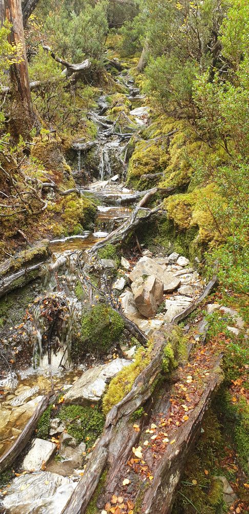 Track negotiation, very slippery when wet Track negotiation, very slippery when wet