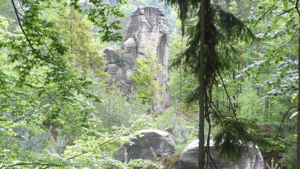 This feature peers out from the trees This feature peers out from the trees