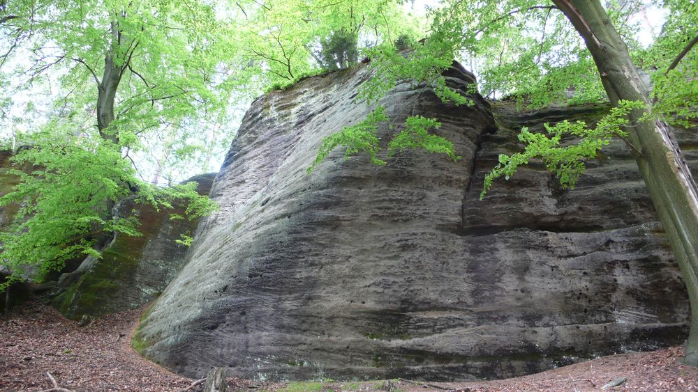 Lovely curves and waves Lovely curves and waves