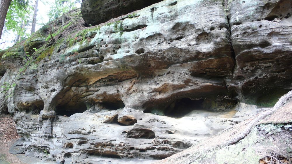 Sandstone features most likely formed by water Sandstone features most likely formed by water