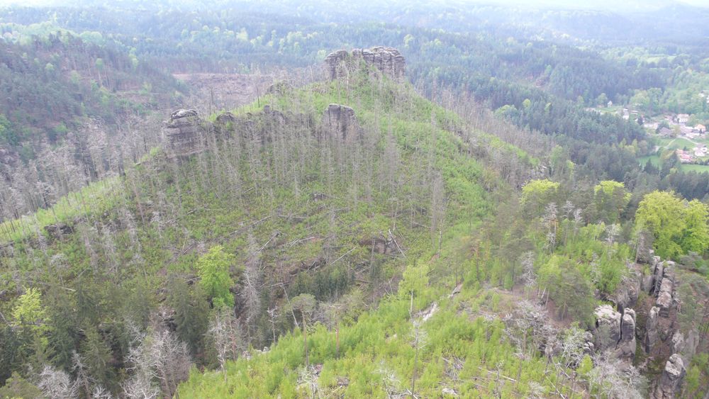 Looking at fire damage from one of the lookouts Looking at fire damage from one of the lookouts