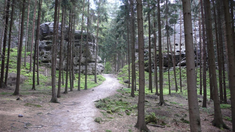 One becomes two One becomes two