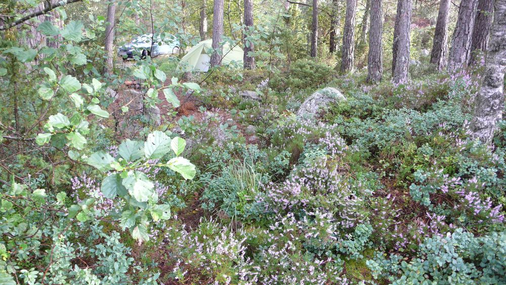 Our tent spent at Dansen, my first encounter with Norwegian nature - not bad eh?