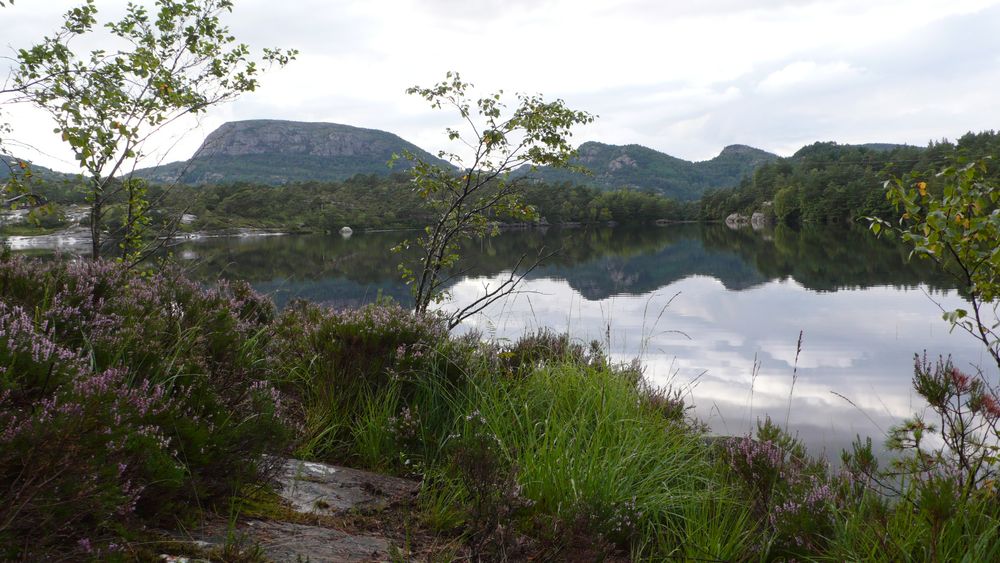Typical West Coast Norway landscape