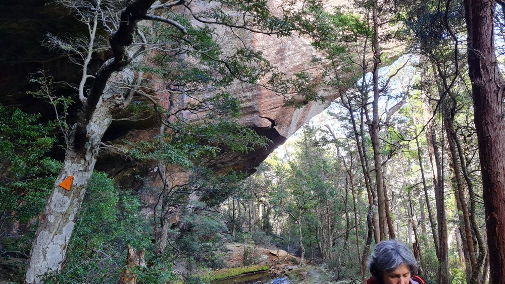 Rock trolls. Rock trolls.