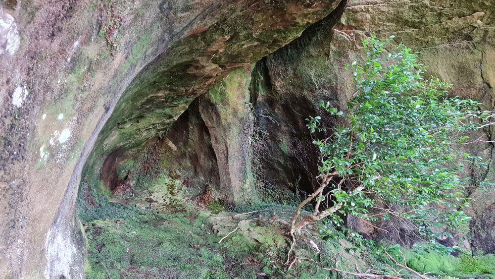 Shaped by water? Shaped by water?