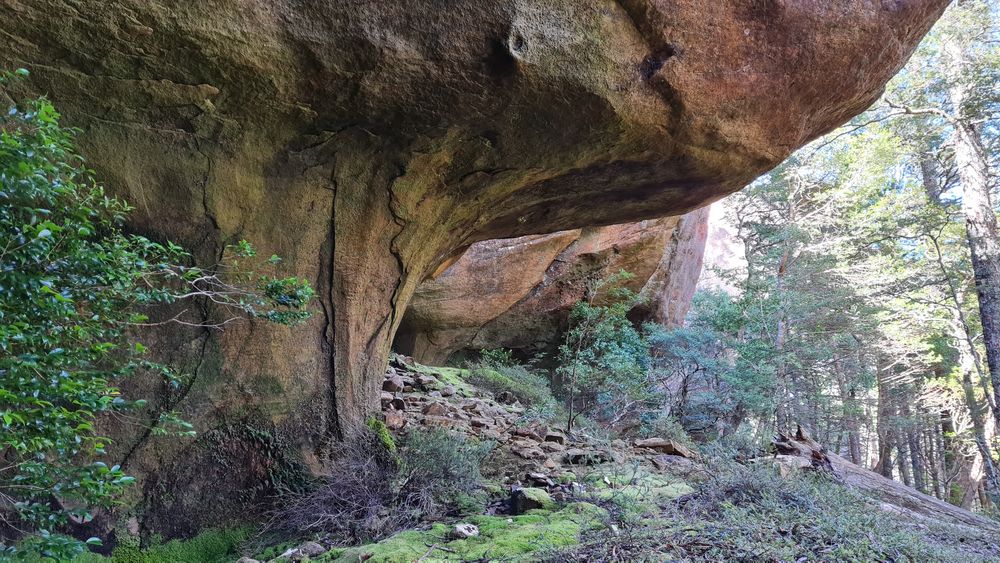 Nature's natural curves. Nature's natural curves.