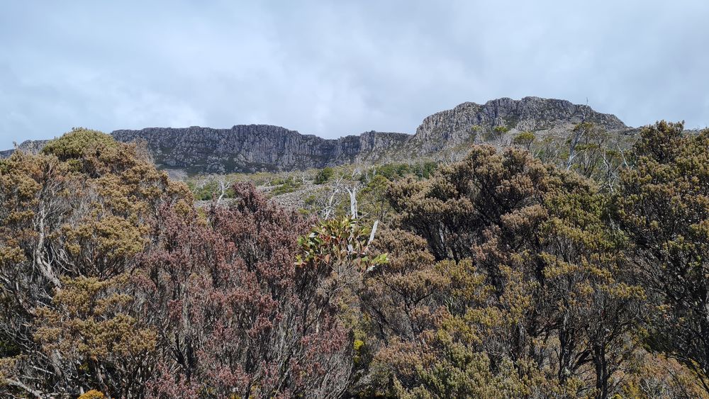 Bastion Bluff in the background. Bastion Bluff in the background.