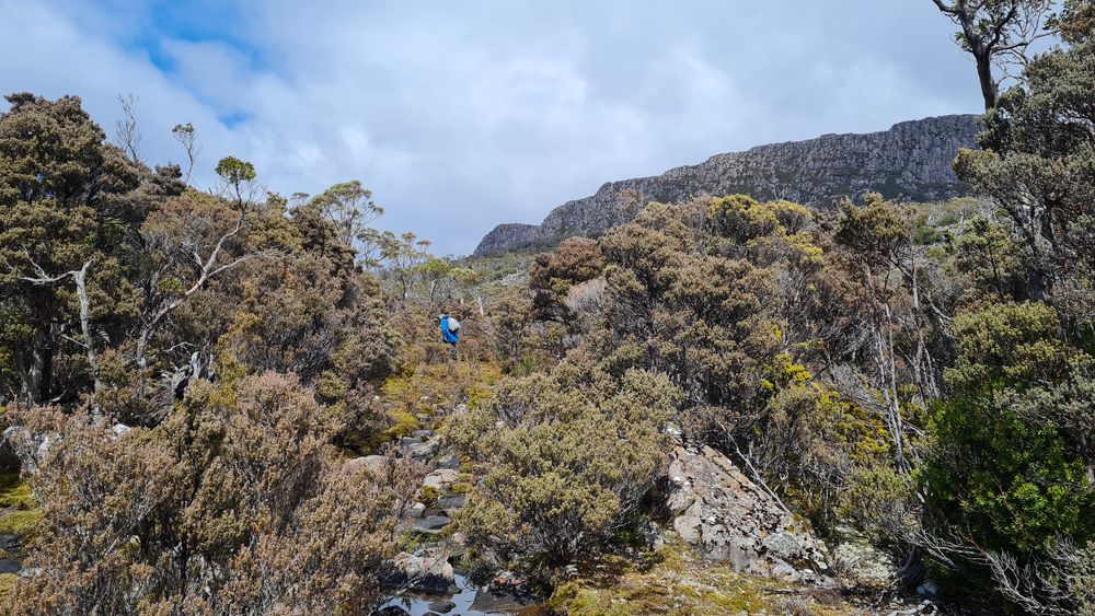 Heading to the track junction. Heading to the track junction.