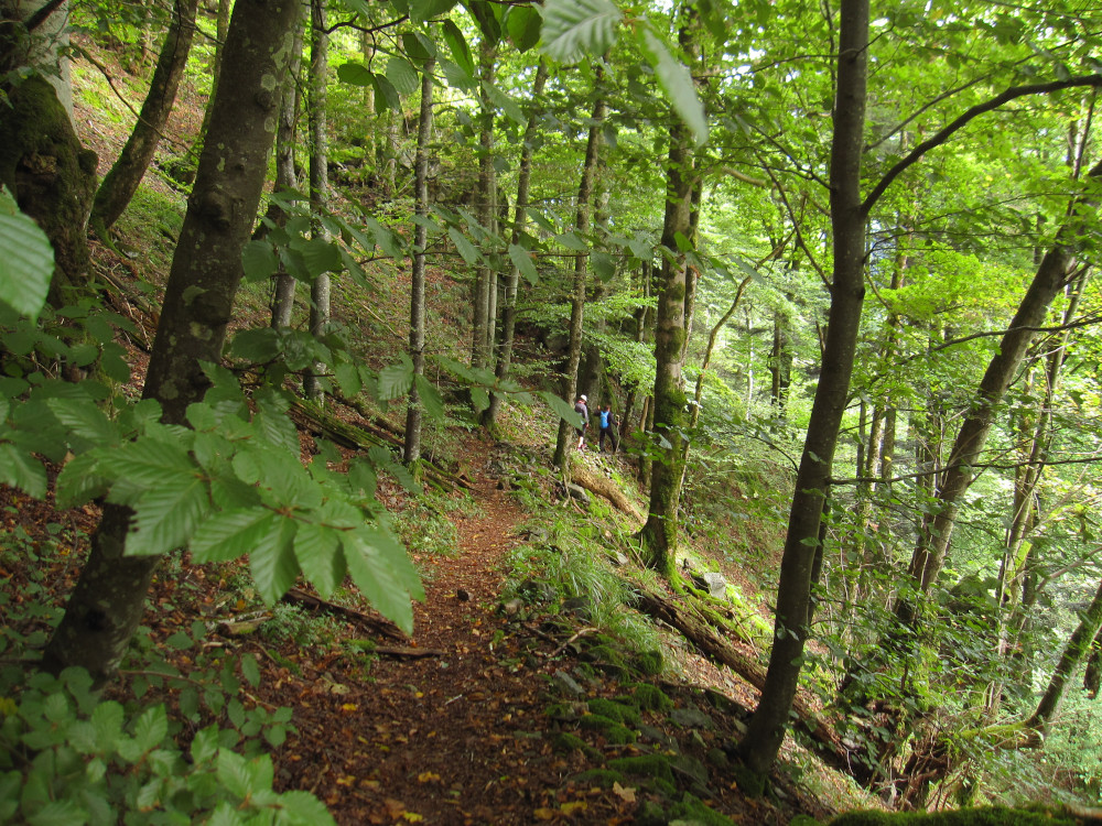 After getting lost at Posthalde, we headed back to Ravennaschlucht