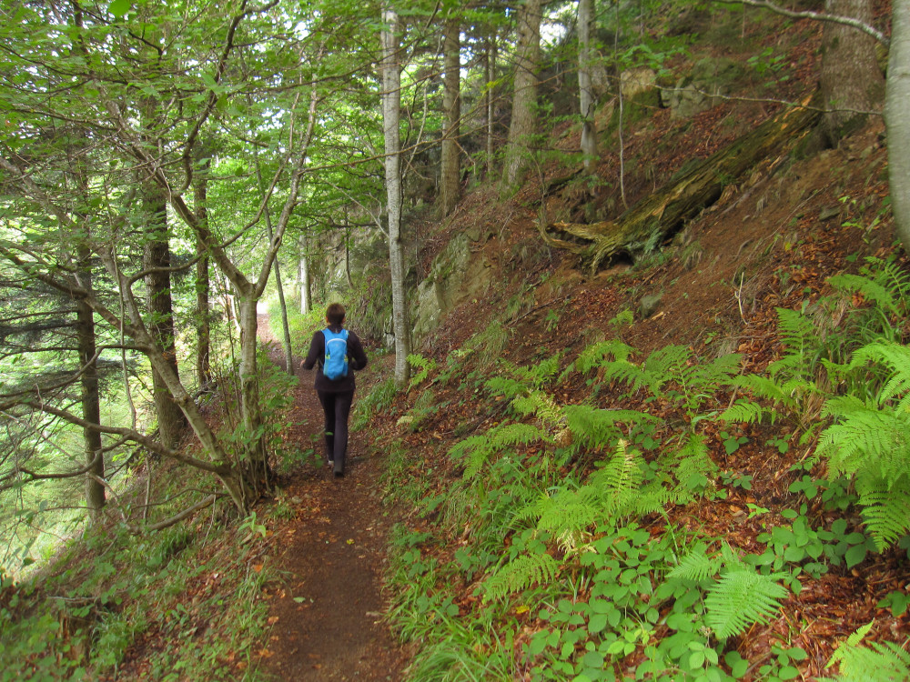 The trail down to Posthalde