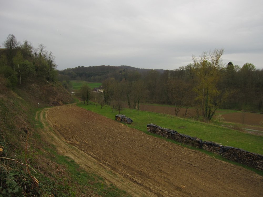 Coming down from the vineyards surrounding Kenzingen with Mitteltal in the background Coming down from the vineyards surrounding Kenzingen with Mitteltal in the background