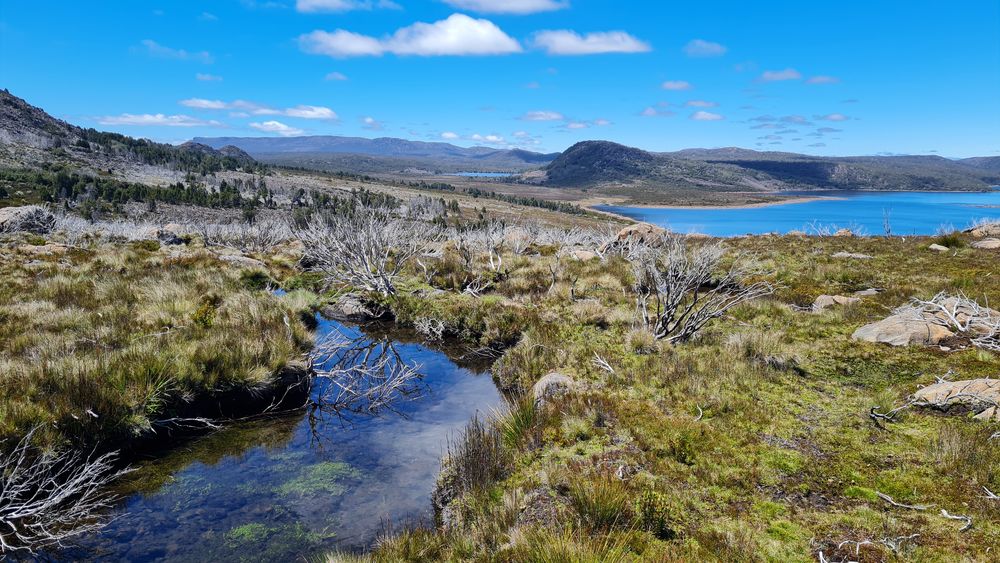 The tarn on Parsons Track. The tarn on Parsons Track.