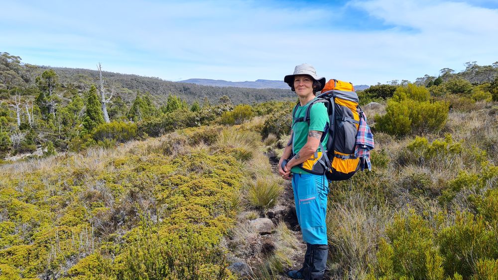 So far so good! So far so good!