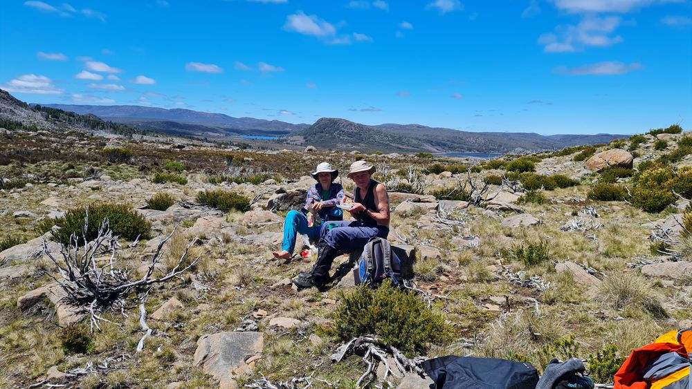 Having lunch among the ants. Having lunch among the ants.