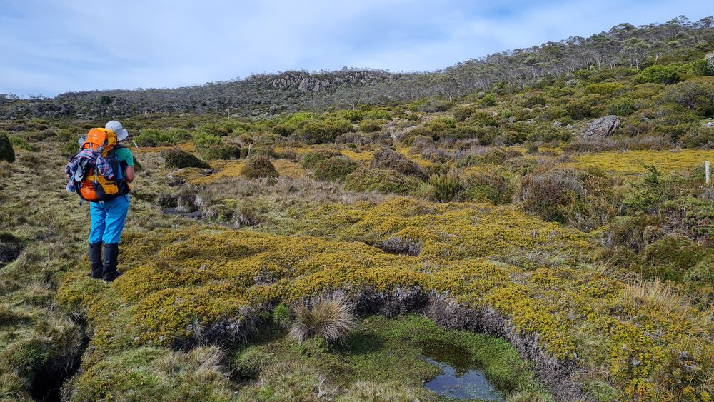 Choosing the right way to go. Choosing the right way to go.