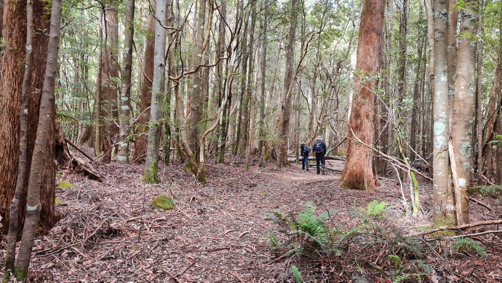 The first five minutes of the track is flat. The first five minutes of the track is flat.
