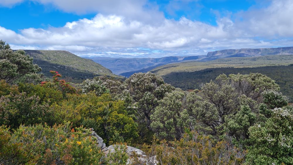 View back to Mother Cummings Head and Meander Forest Reserve. View back to Mother Cummings Head and Meander Forest Reserve.