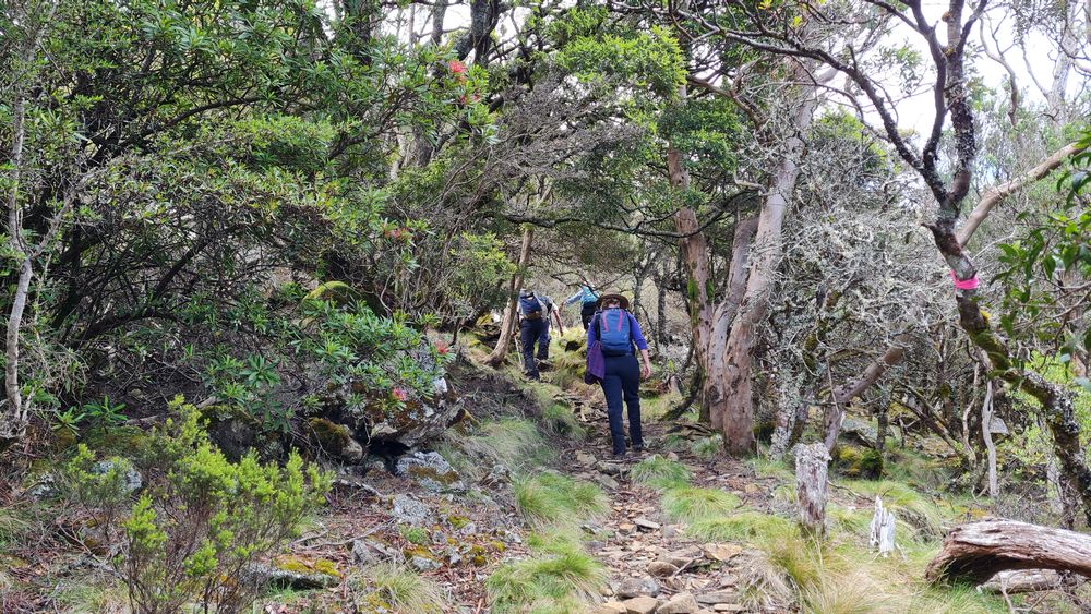 Steep rocky trail Steep, rocky trail