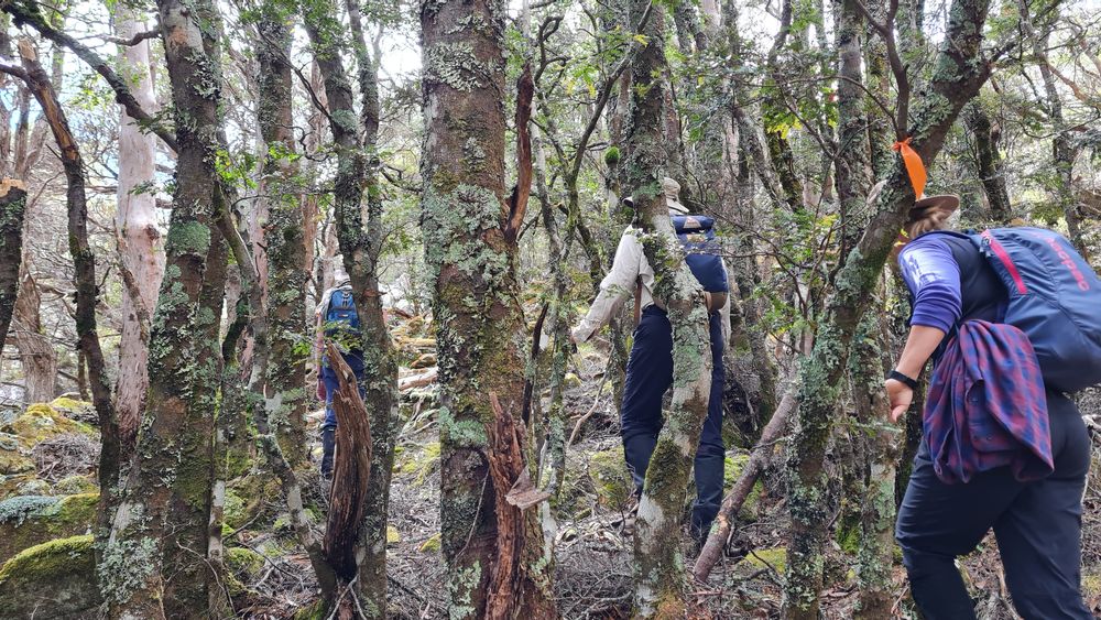 Up we go... Up we go...