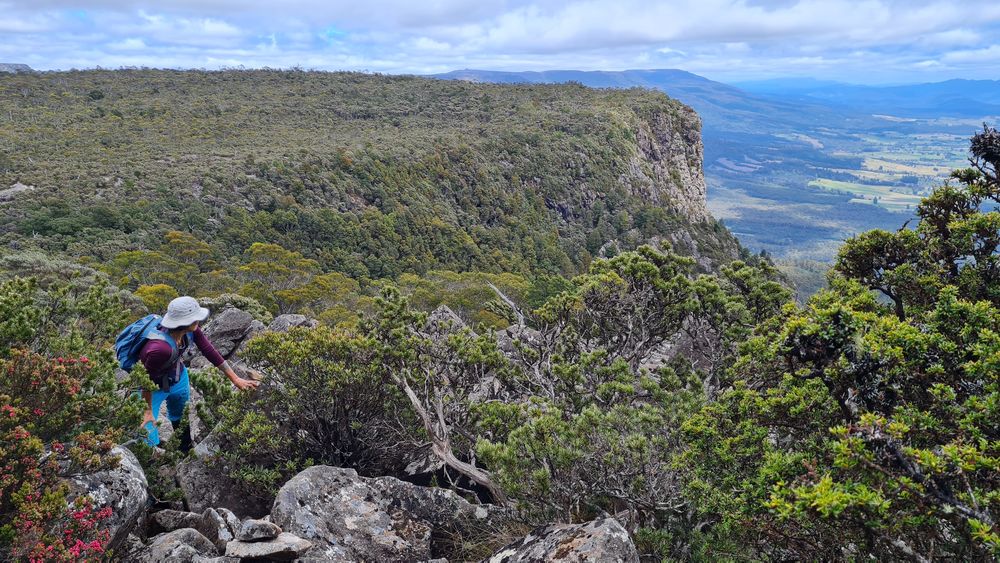 The first view The first view