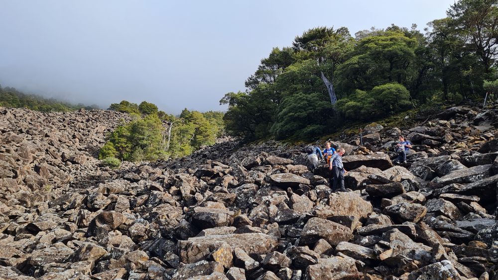 Scree field Scree field