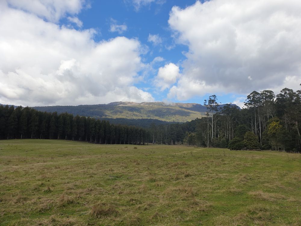 Sassafras cave Sassafras cave