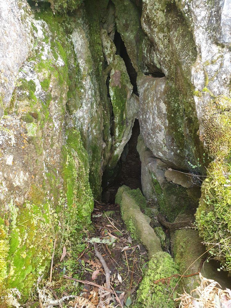 Sassafras cave Sassafras cave