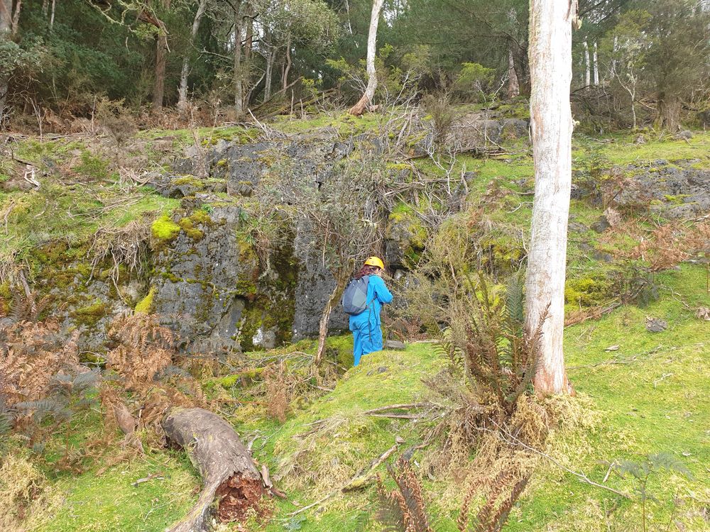 Sassafras cave Sassafras cave