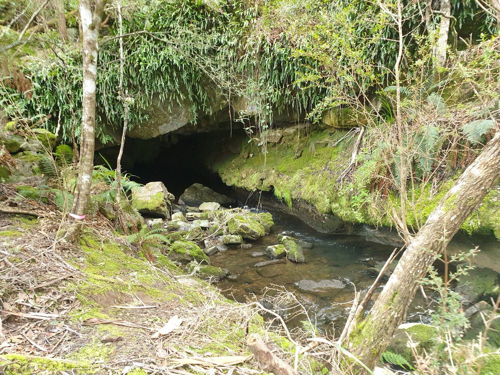 Sassafras cave Sassafras cave