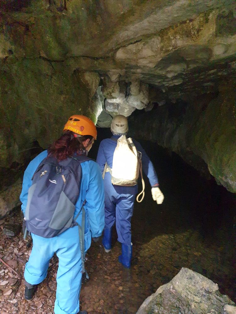 Sassafras cave Sassafras cave