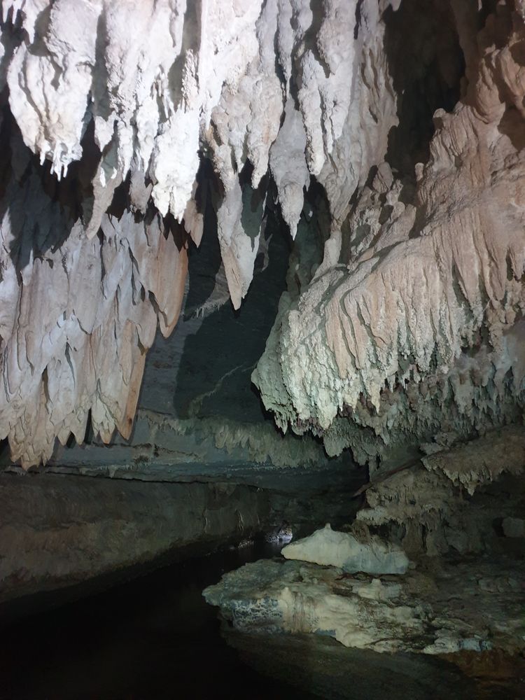 Sassafras cave Sassafras cave