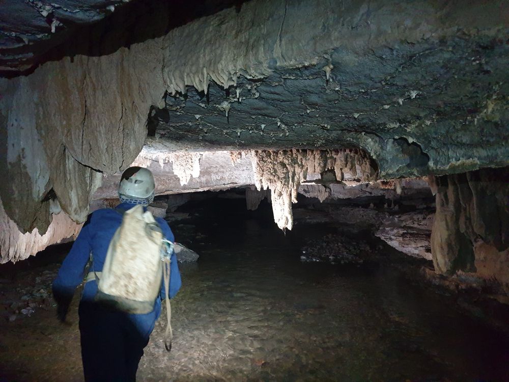 Sassafras cave Sassafras cave