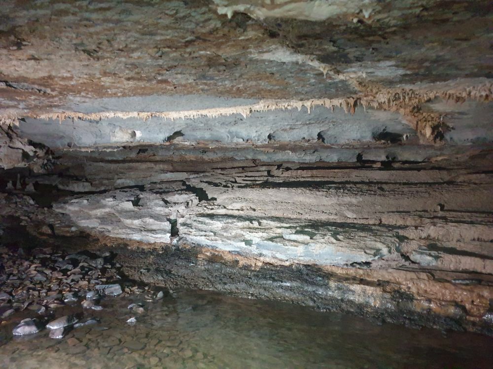 Sassafras cave Sassafras cave