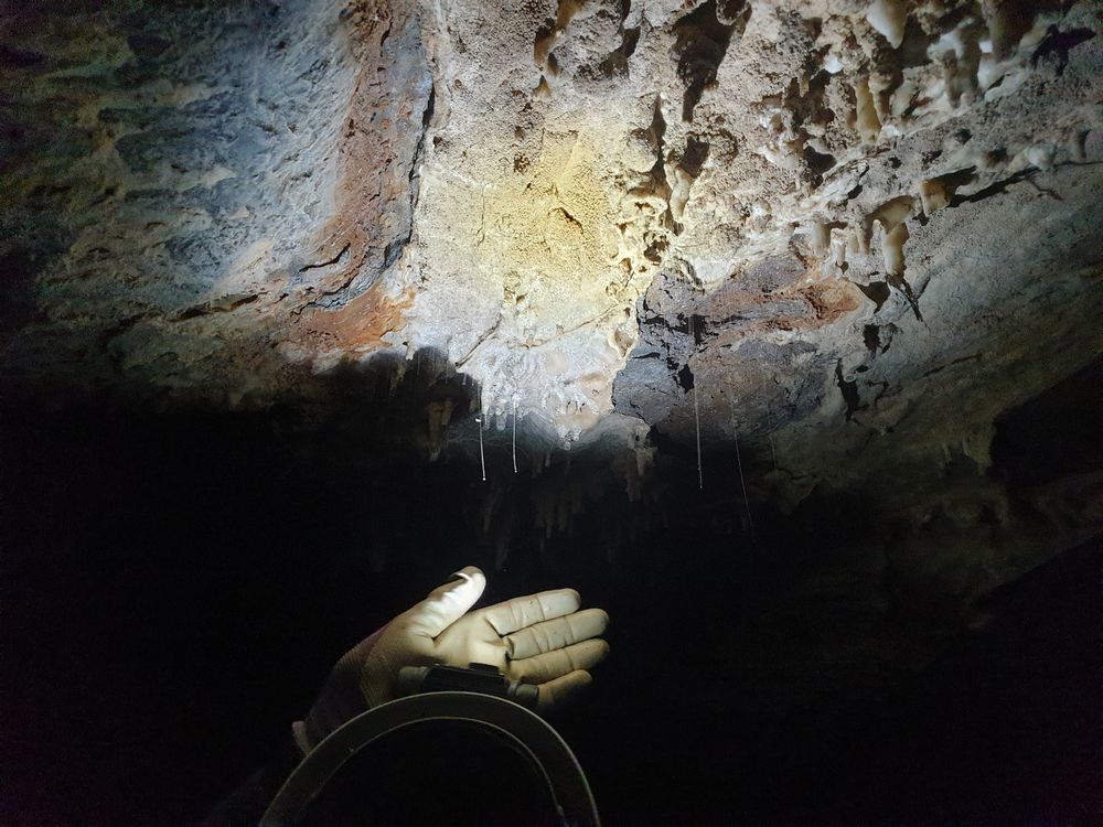 Sassafras cave Sassafras cave