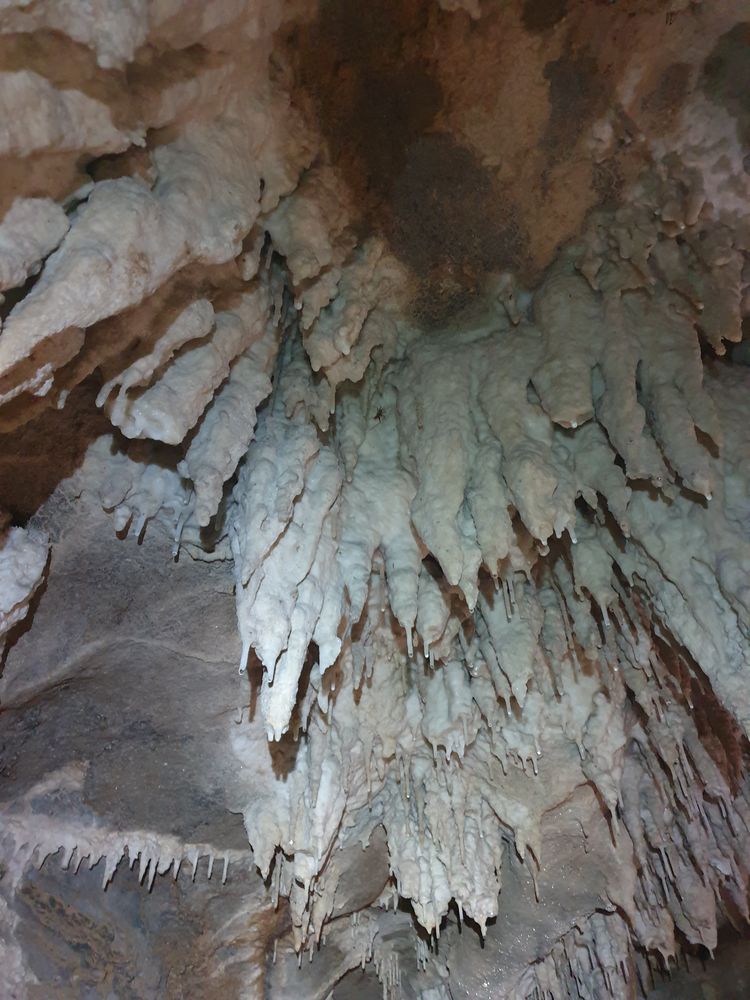 Sassafras cave Sassafras cave