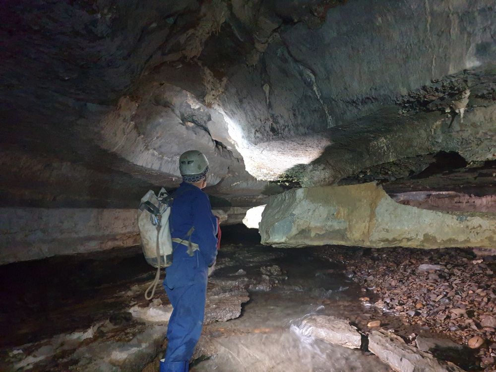 Sassafras cave Sassafras cave