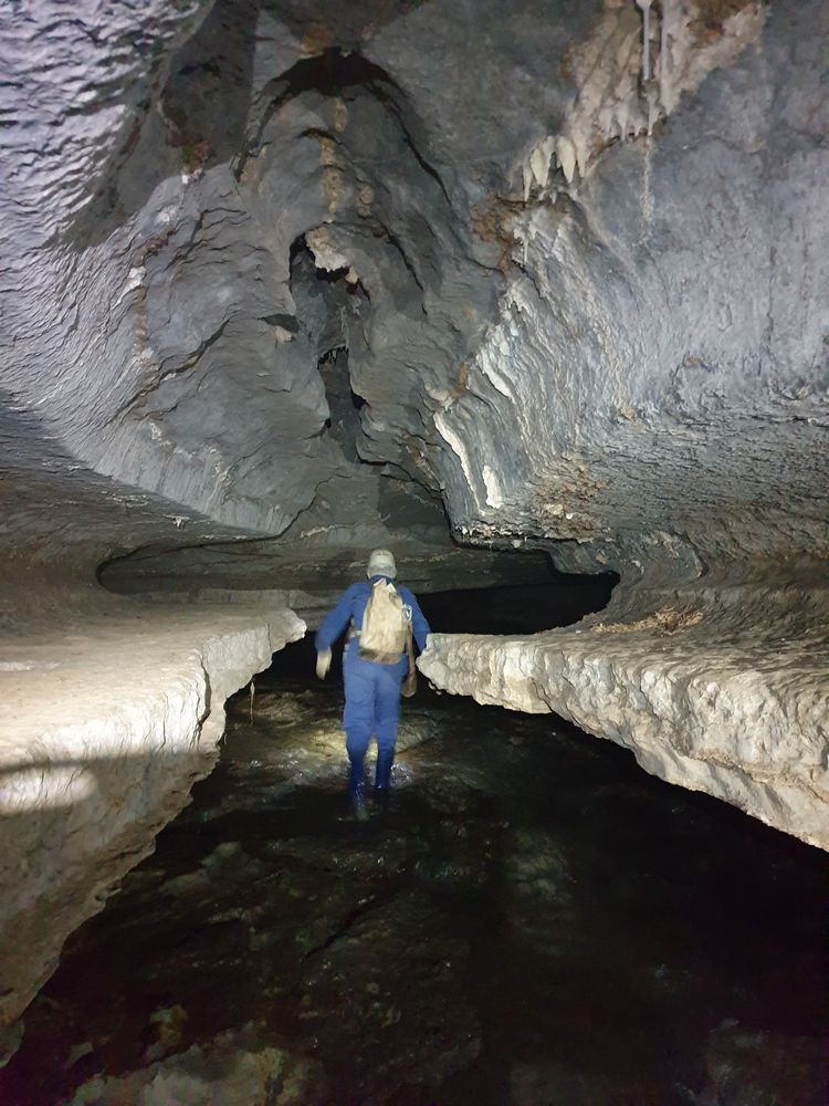 Sassafras cave Sassafras cave