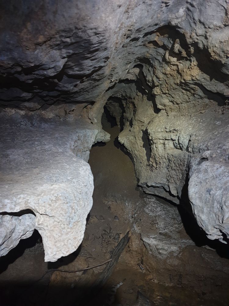 Sassafras cave Sassafras cave