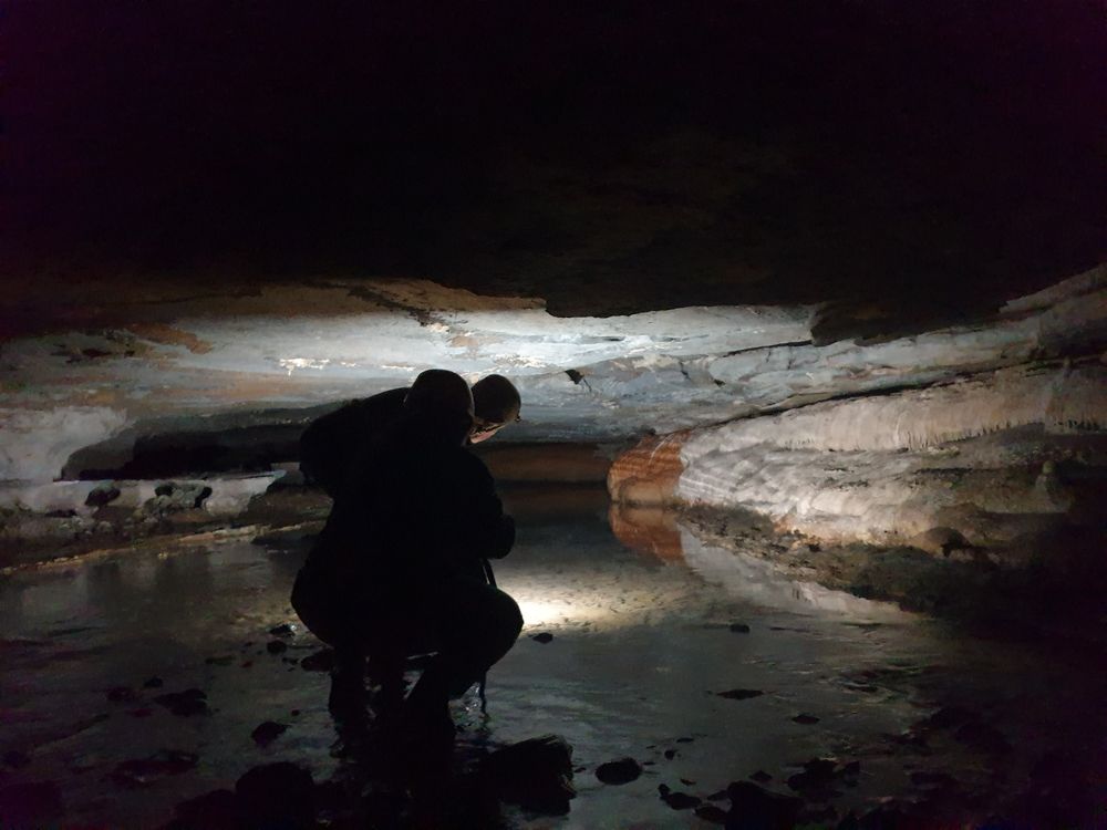 Sassafras cave Sassafras cave