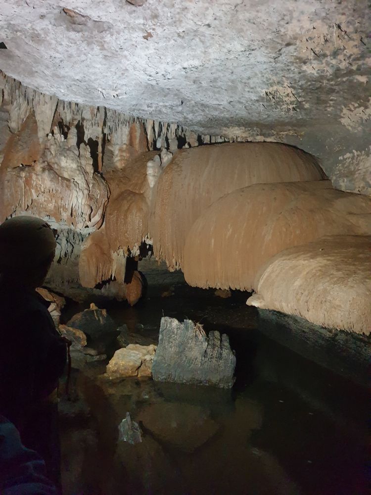 Sassafras cave Sassafras cave