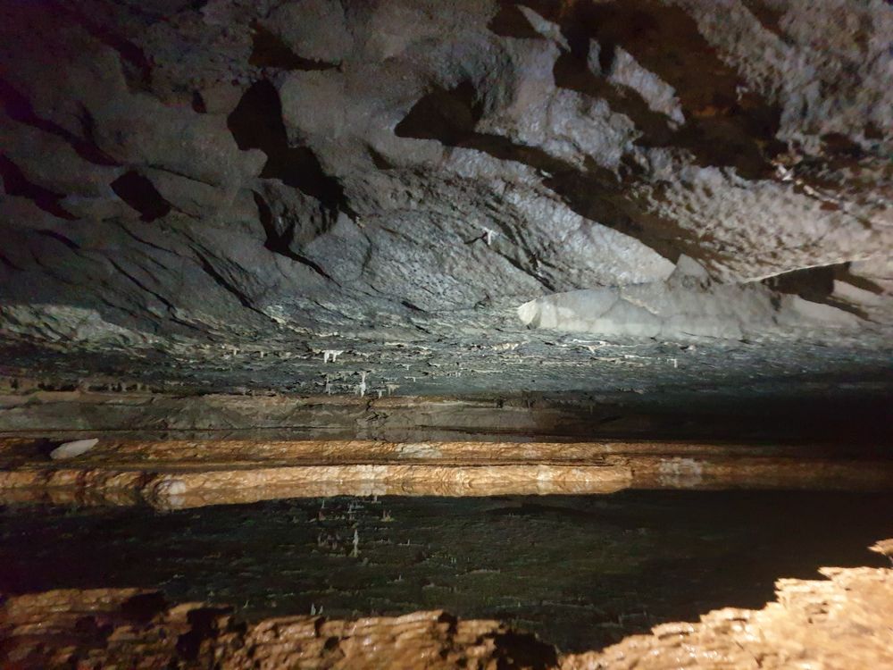 Sassafras cave Sassafras cave